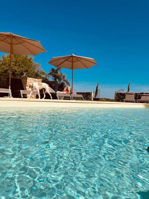 Dome Insolite Lichen Jacuzzi Et Petits-Dejeuners Inclus Gondrin Dış mekan fotoğraf
